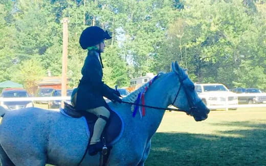 a person riding a horse