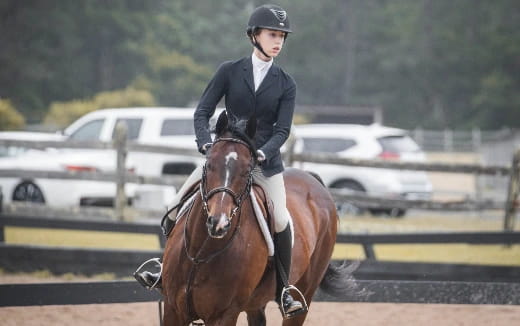 a person riding a horse