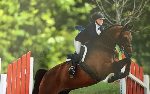 a man riding a horse