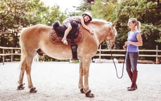a person walking a horse