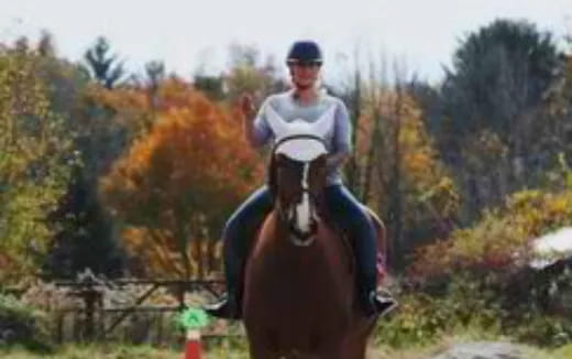 a person riding a horse