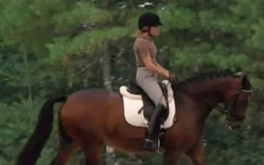 a man riding a horse