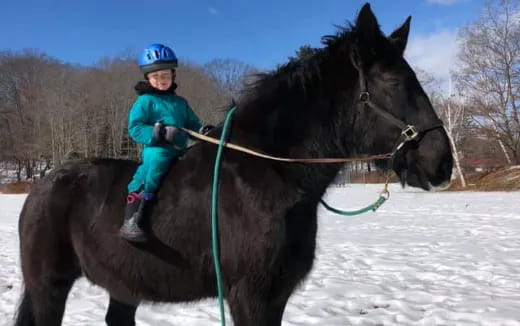 a child riding a horse