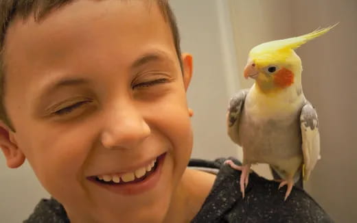 a bird on a person's shoulder