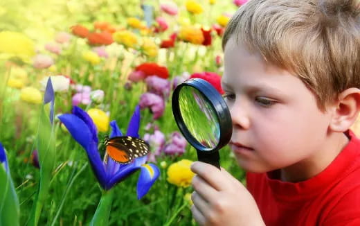 a boy looking at a butterfly