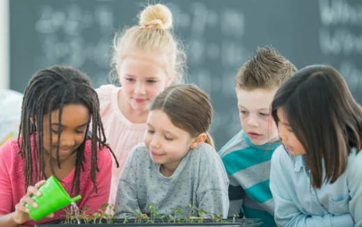 a group of children looking at a book