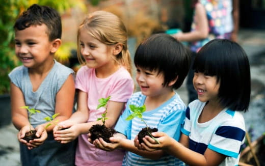 a group of children looking at a plant