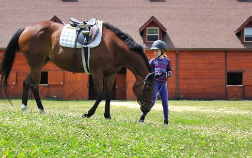 a girl riding a horse