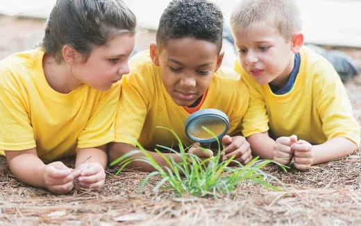 a group of young boys playing with a plant