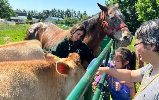 a man and a woman petting a horse