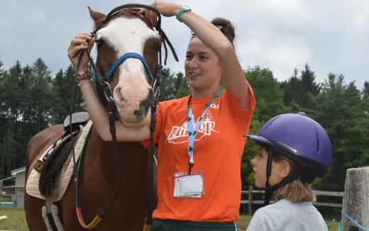 a person holding a horse