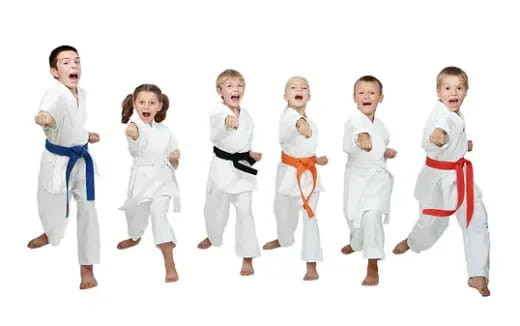 a group of children wearing karate uniforms