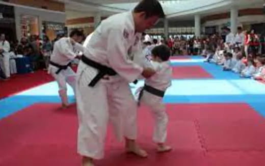 a man and a child in karate uniforms