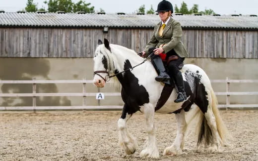 a man riding a horse