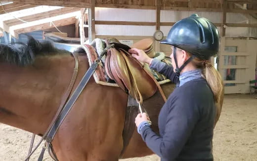 a man touching a horse
