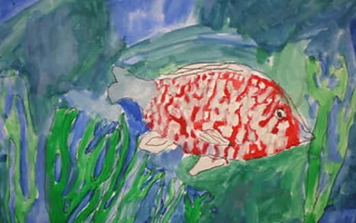 a turtle swimming in water