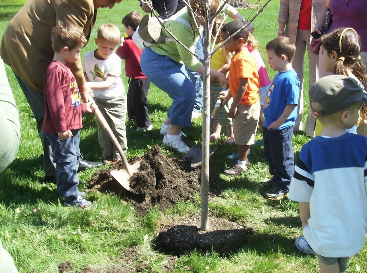 a group of children digging in the ground