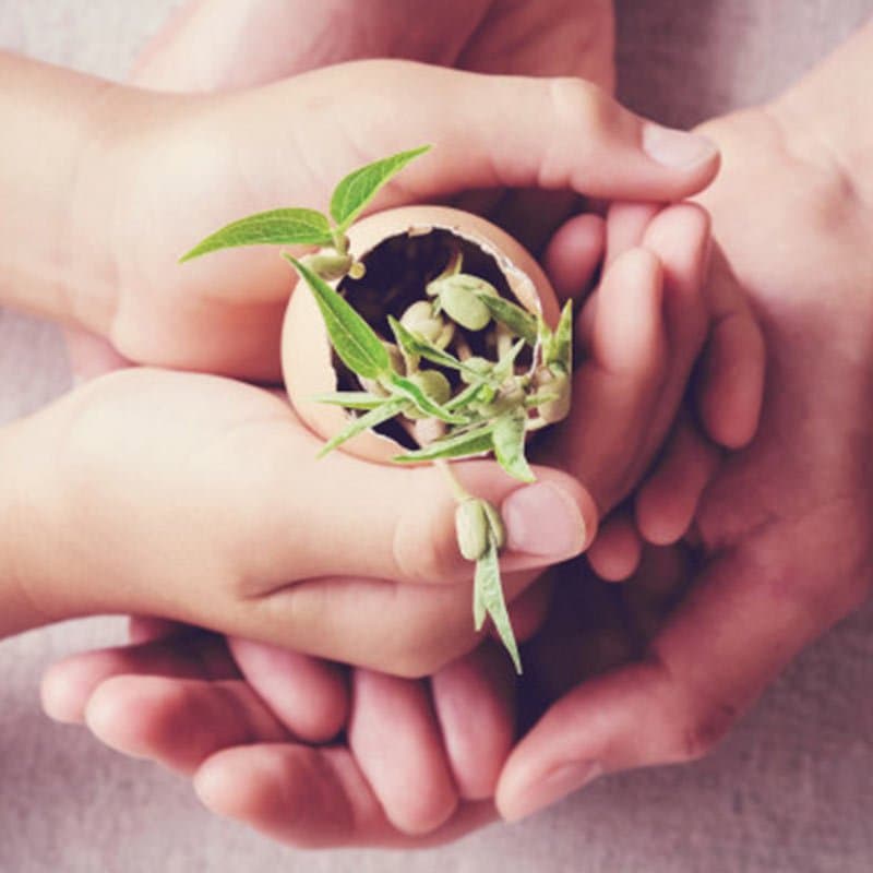 a person holding a plant